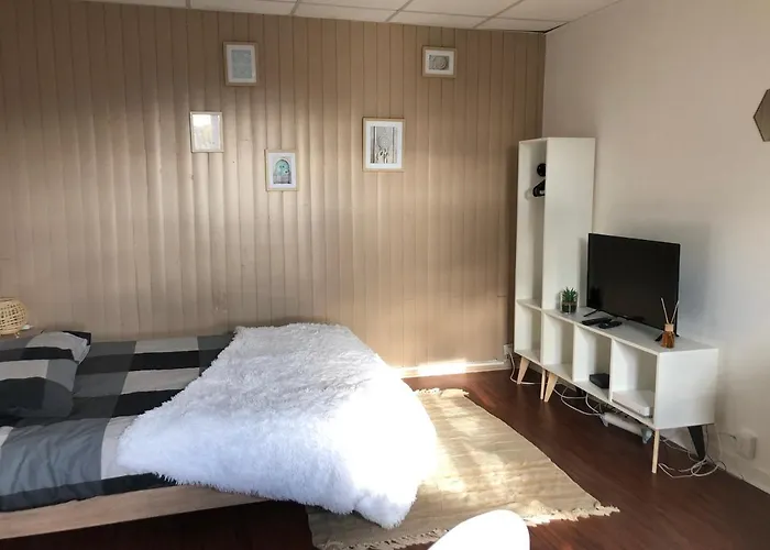 Apartment Le Printemps De Melusine *